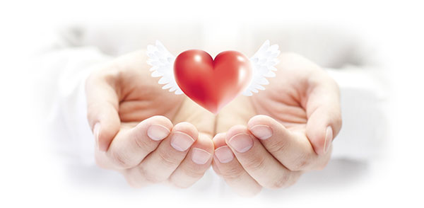 1551836743.jpg 1551726508.jpg